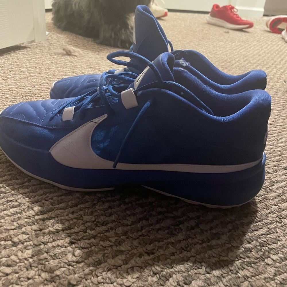 Zoom freak 3 basketball shoes